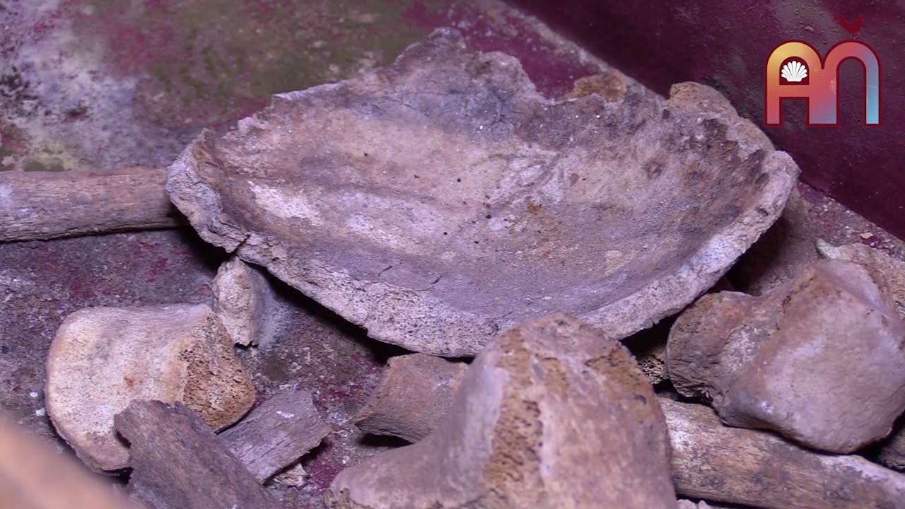 Apertura Tumba Santo Domingo de la Calzada