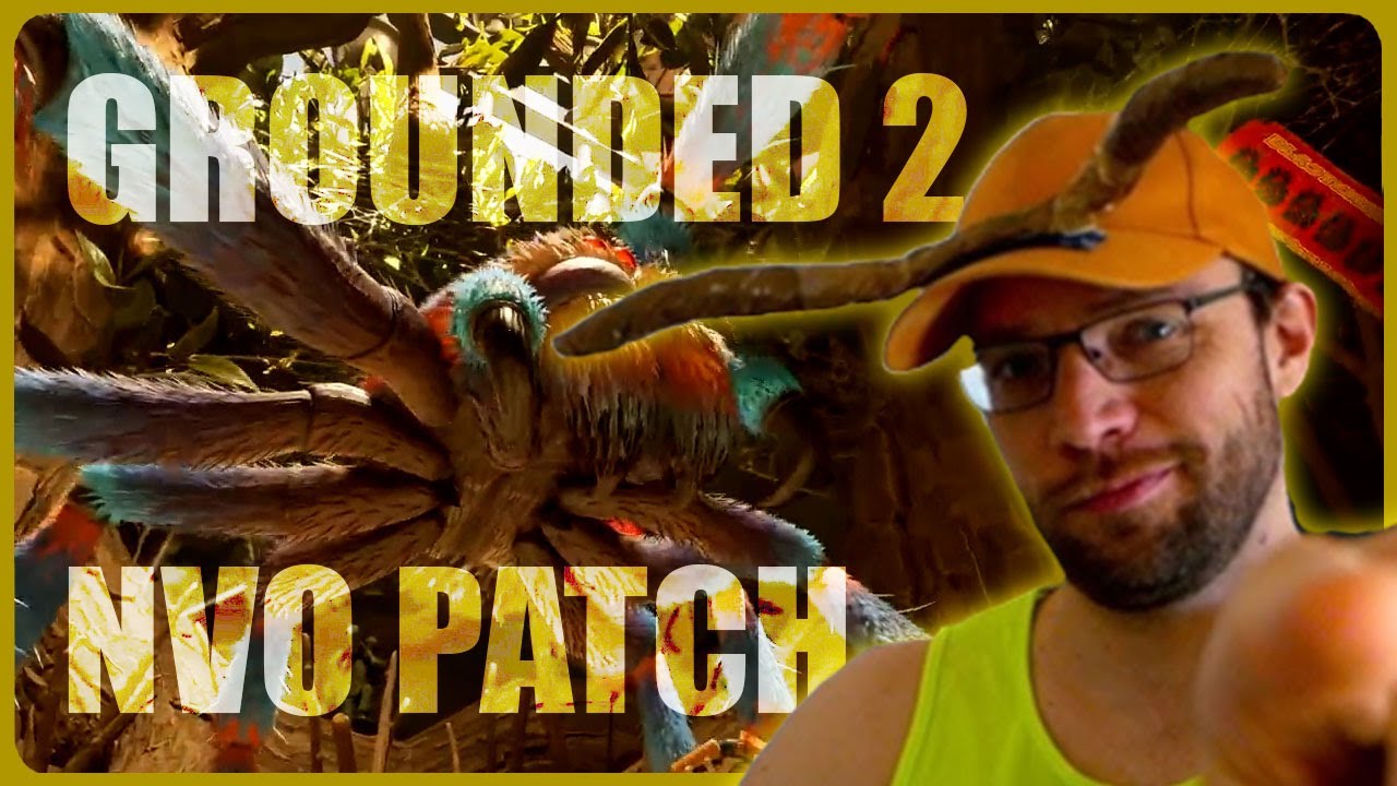 Grounded 2 un nouveau patch