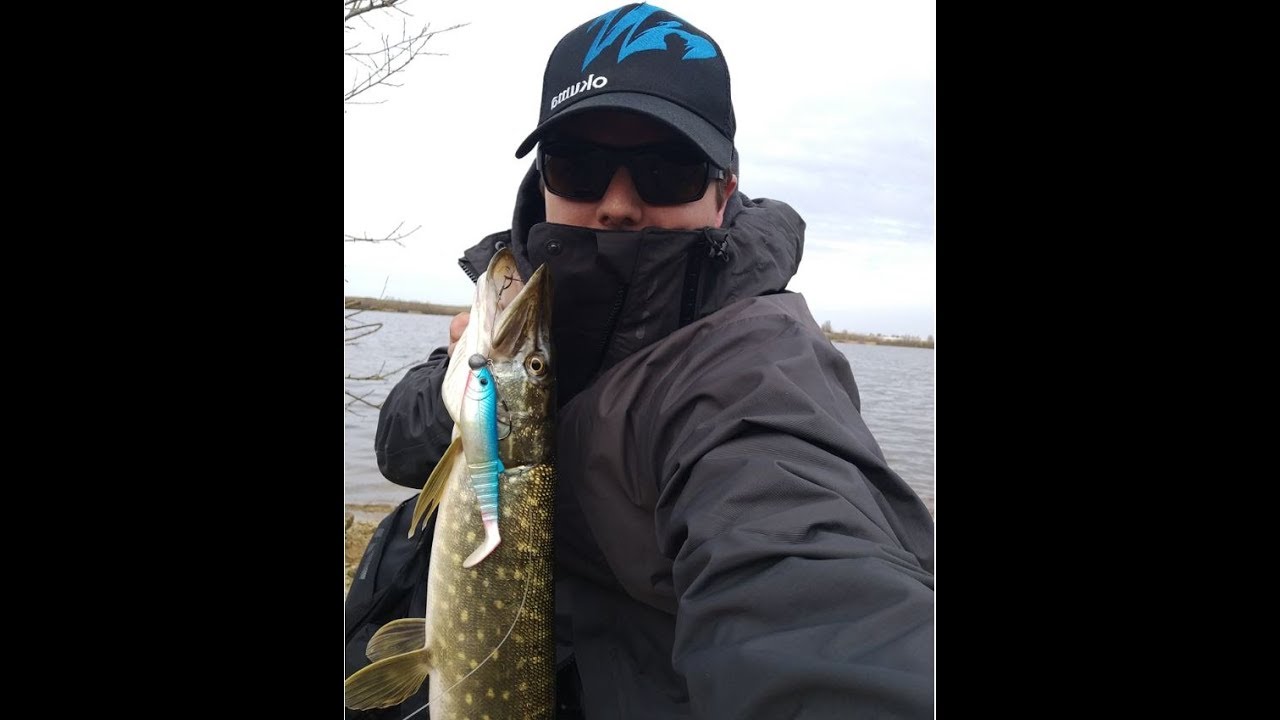 Pescuit la stiuca pe lac - Cannibal shad & XLNT3