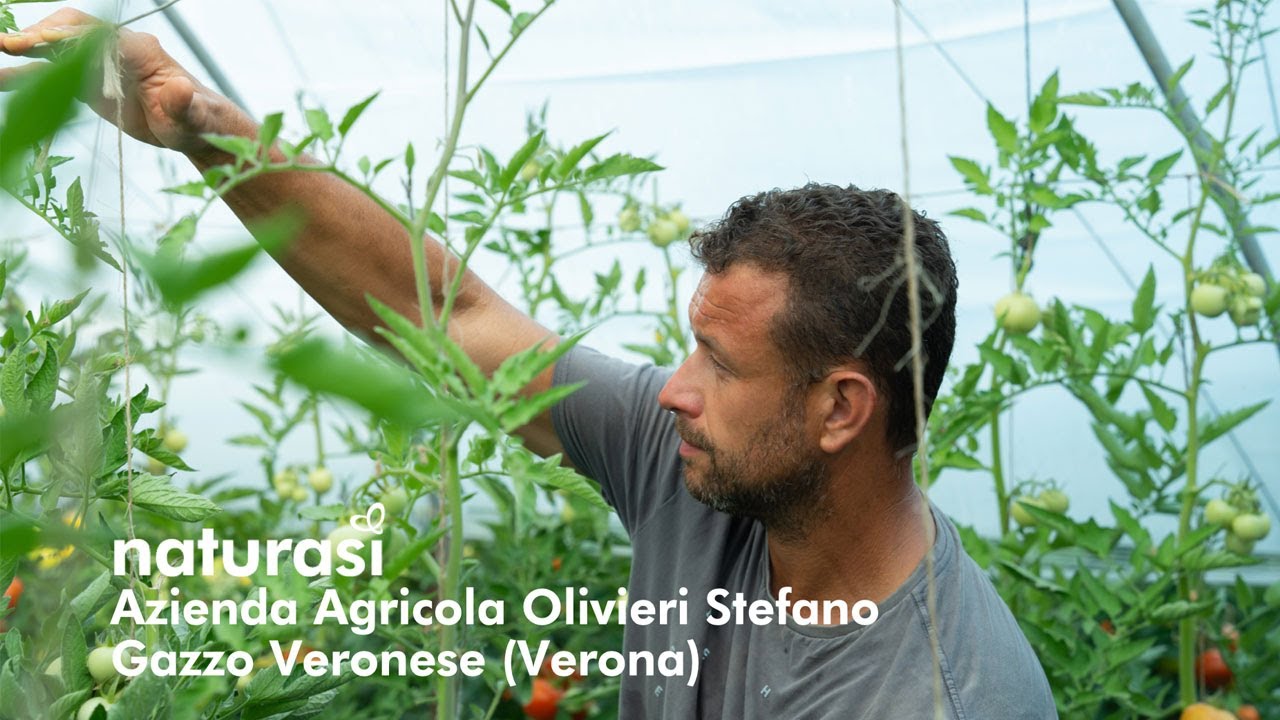 NaturaSì | Azienda Agricola Olivieri Stefano | Gazzo Veronese (Verona)