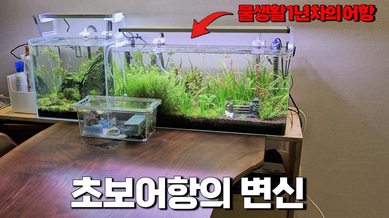 물생활 완전 초보 구독자의 헬프 요청에 달려갔더니..