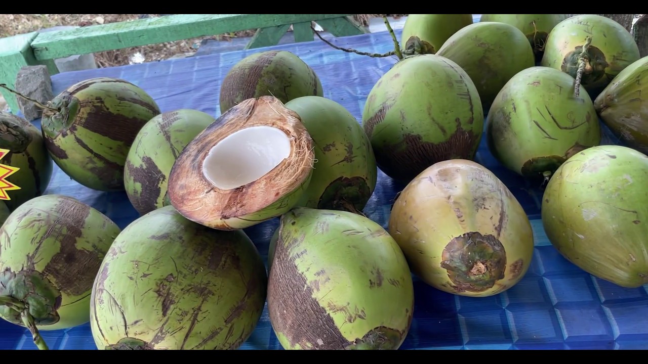 Nujah Samarahan lalu ....