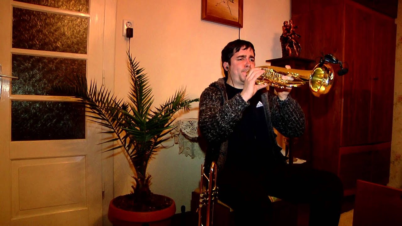 Gartner Stefan - Solo Flugelhorn & Trumpet (Let It Be)
