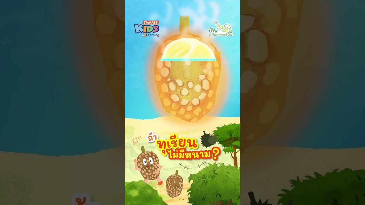 แล้วถ้าทุเรียนไม่มีหนามจะเป็นอย่างไรนะ | #บ้านนักวิทยาศาสตร์น้อย #ThaiPBSKids #shorts