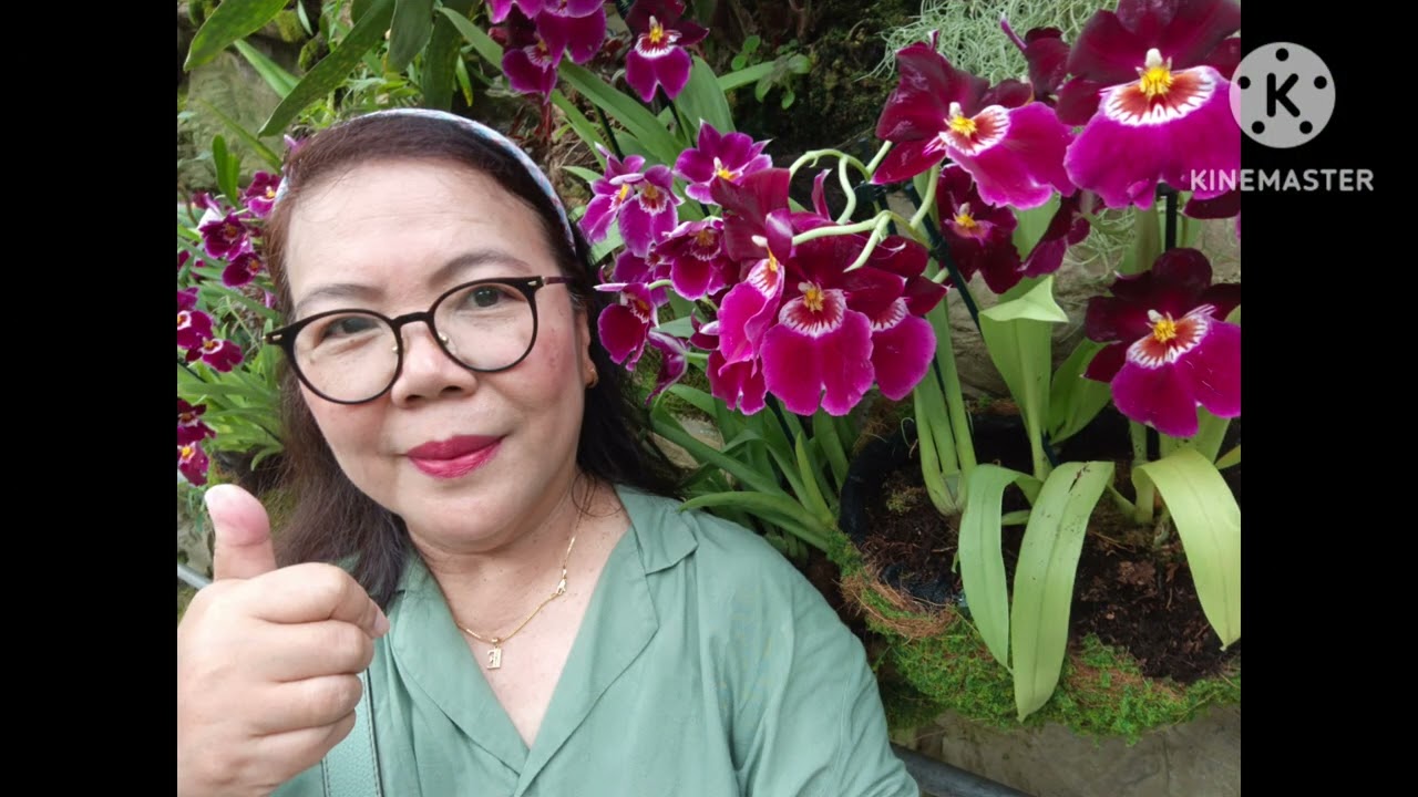 Part 3 National Orchids Garden