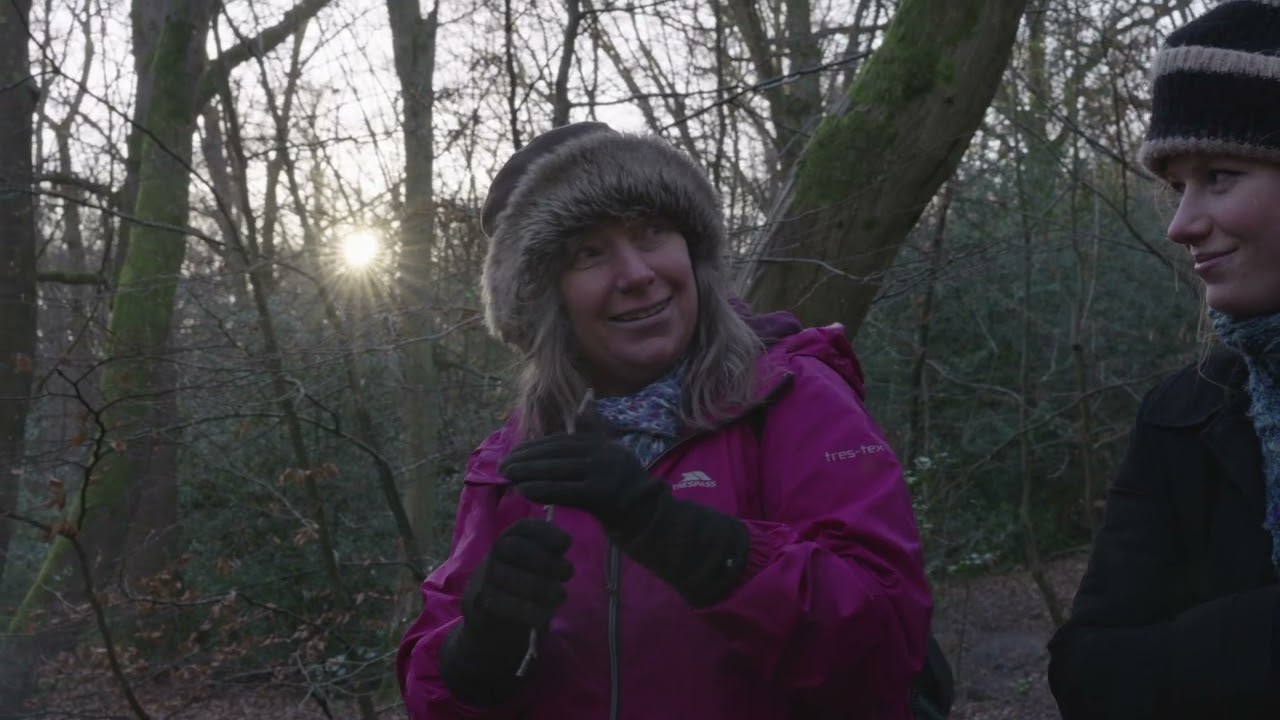 Forest Bathing