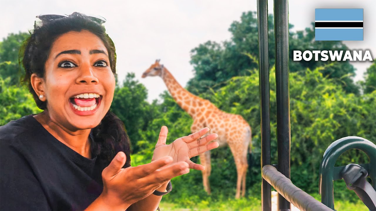 OUR SAFARI IN CHOBE NATIONAL PARK, BOTSWANA 🦁