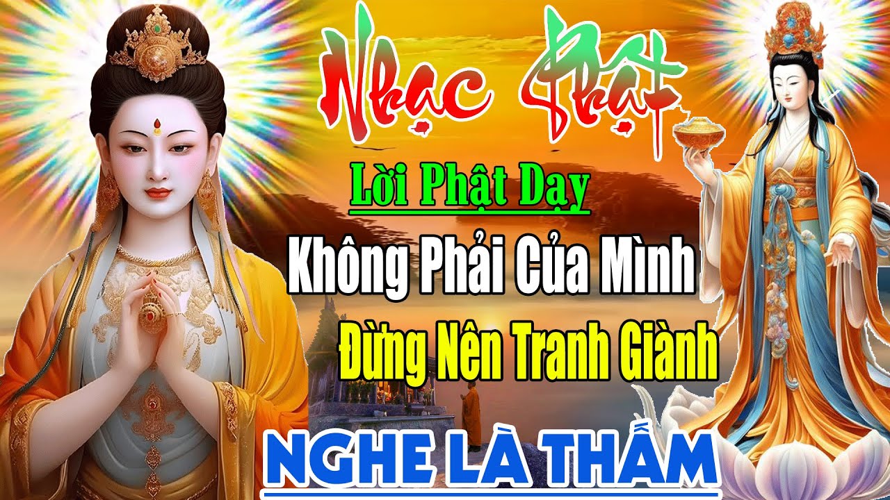 Nhạc Phật -Liên Khúc Nhạc Phật Giáo 2024 #KHÔNGPHẢICỦAMÌNHĐỪNGNÊNTRANHGIÀNH #NHẠC PHẬT GIÁO HAY NHẤT