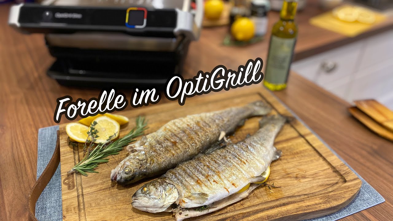 Wie macht man Fisch im Tefal OptiGrill?