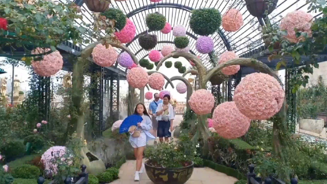 Ngắm vườn hoa hồng ở Bà Nà Hills