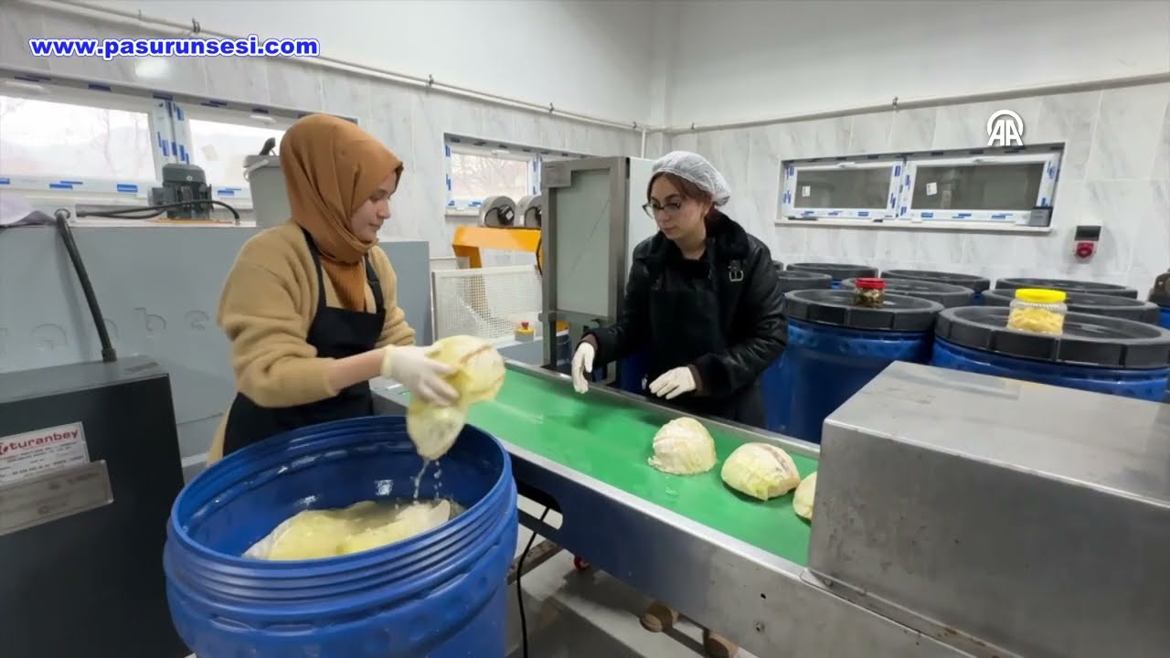 Kalkınma ajansı desteğiyle kurulan fabrikada yıllık 20 ton turşu üretiliyor
