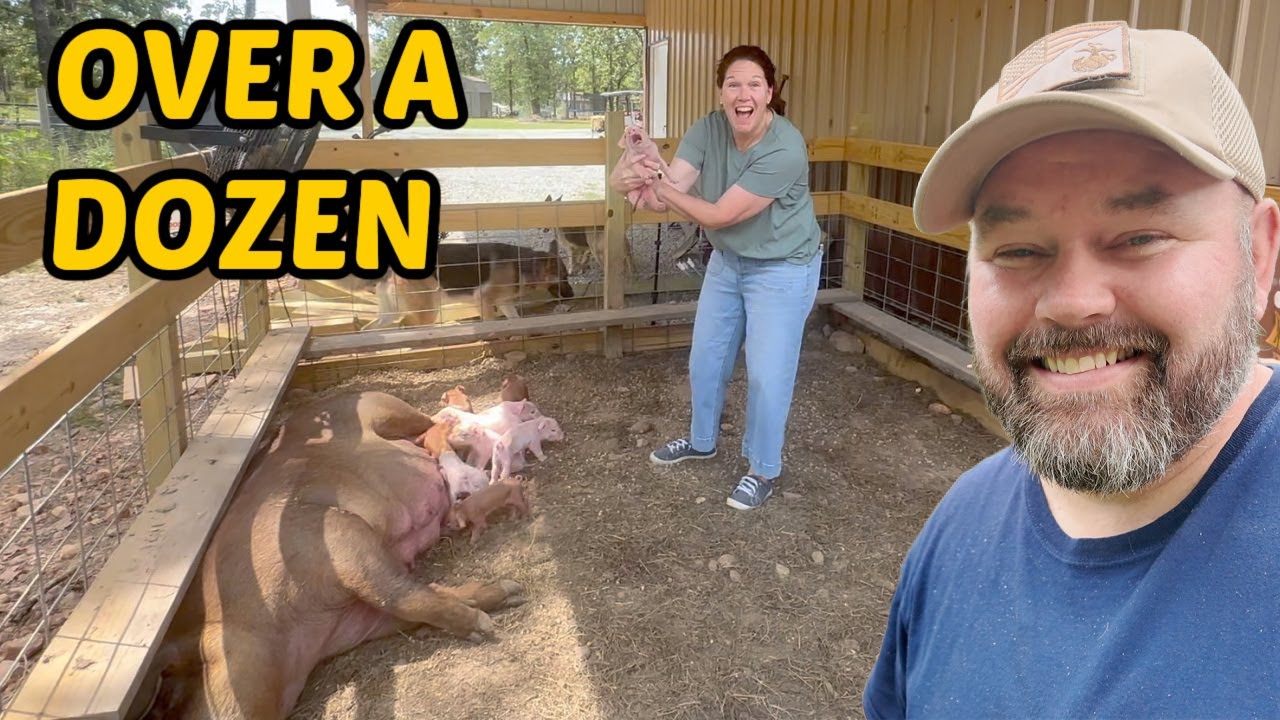 We've Got Babies EVERYWHERE But There’s A Plot Twist!