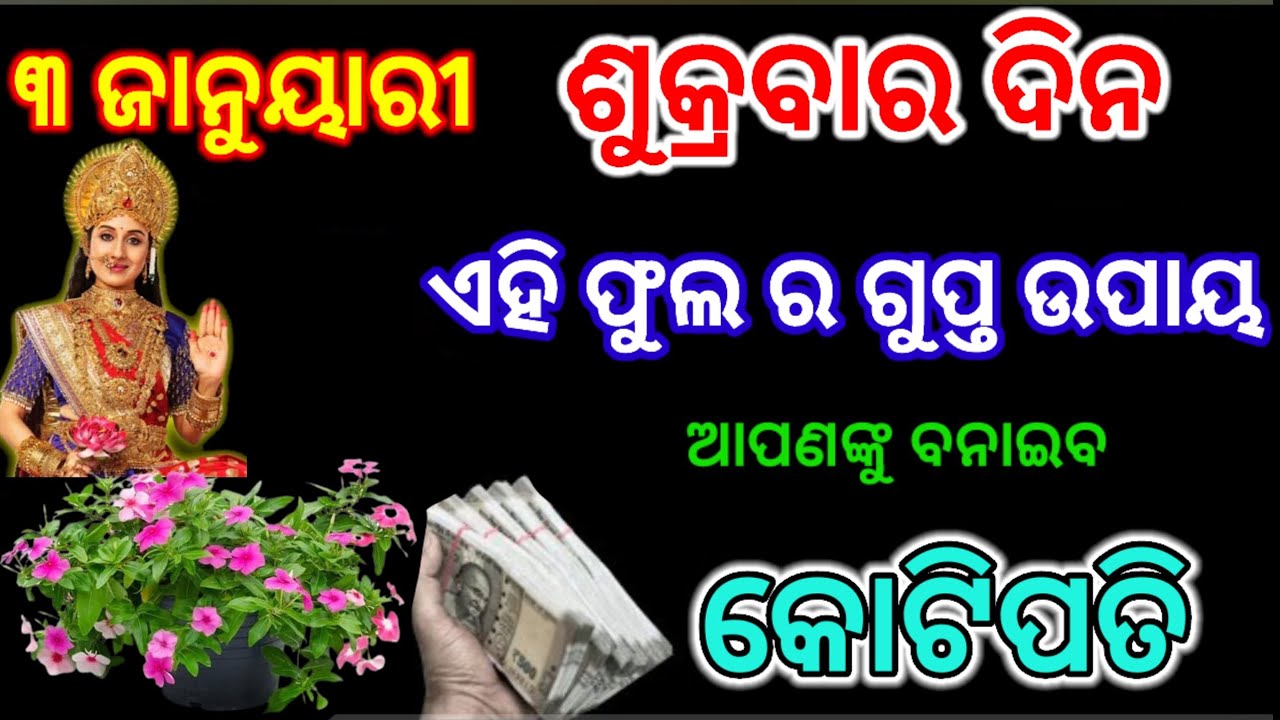 ଶୁକ୍ରବାର ଦିନ ଏହି ଚମତ୍କାର ଫୁଲର ଉପାୟ ଆପଣଙ୍କୁ ବନାଇବ କୋଟିପତି/sukrabar upay/maa laxmi