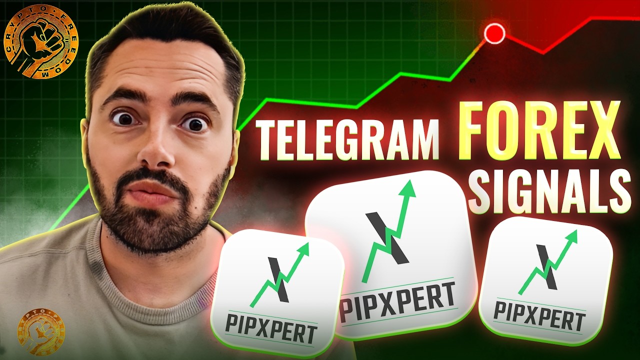 Telegram Forex Signals 2026: How to Find the Perfect currency signal ? (Honest Review)