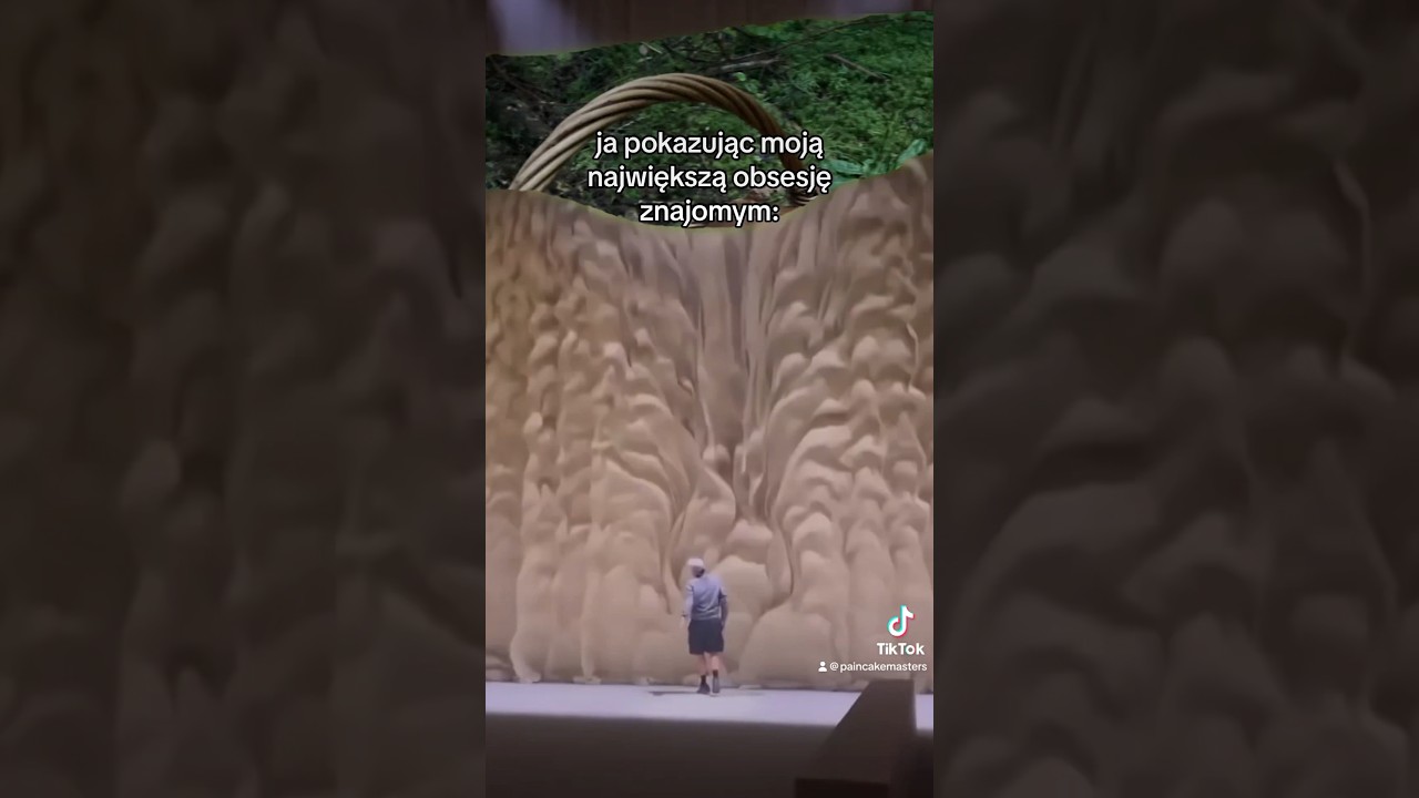 To już ten czas! #grzybobranie #grzyby #grzyby2023 #kozak #prawdziwki #kurki #borowiki