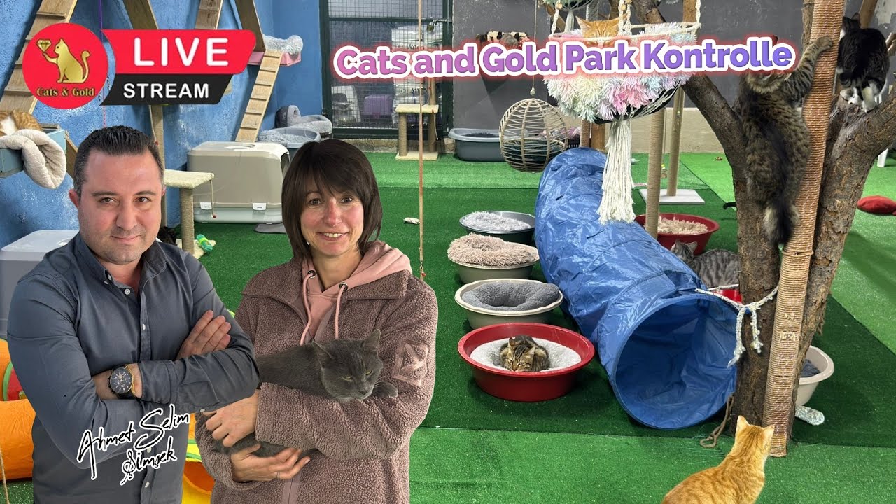 Cats and Gold Park Kontrolle