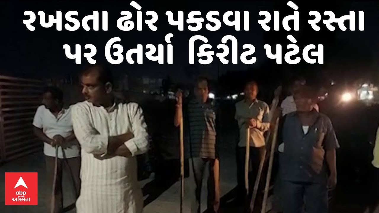 Kirit Patel | રસ્તા પર રખડતા ઢોર પકડવા રાતે રસ્તા પર ઉતર્યા ધારાસભ્ય કિરીટ પટેલ