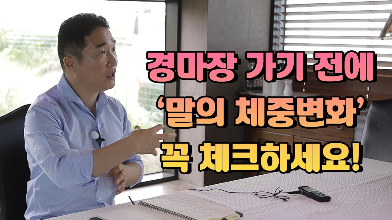 경마 경주마의 체중변화 꼭 체크하고 가세요 #드디어경마장간다!