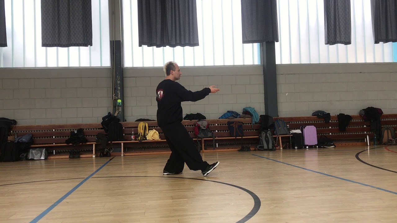Tai Chi / Taijiquan 19 movements 2. part / Jan Silberstorff