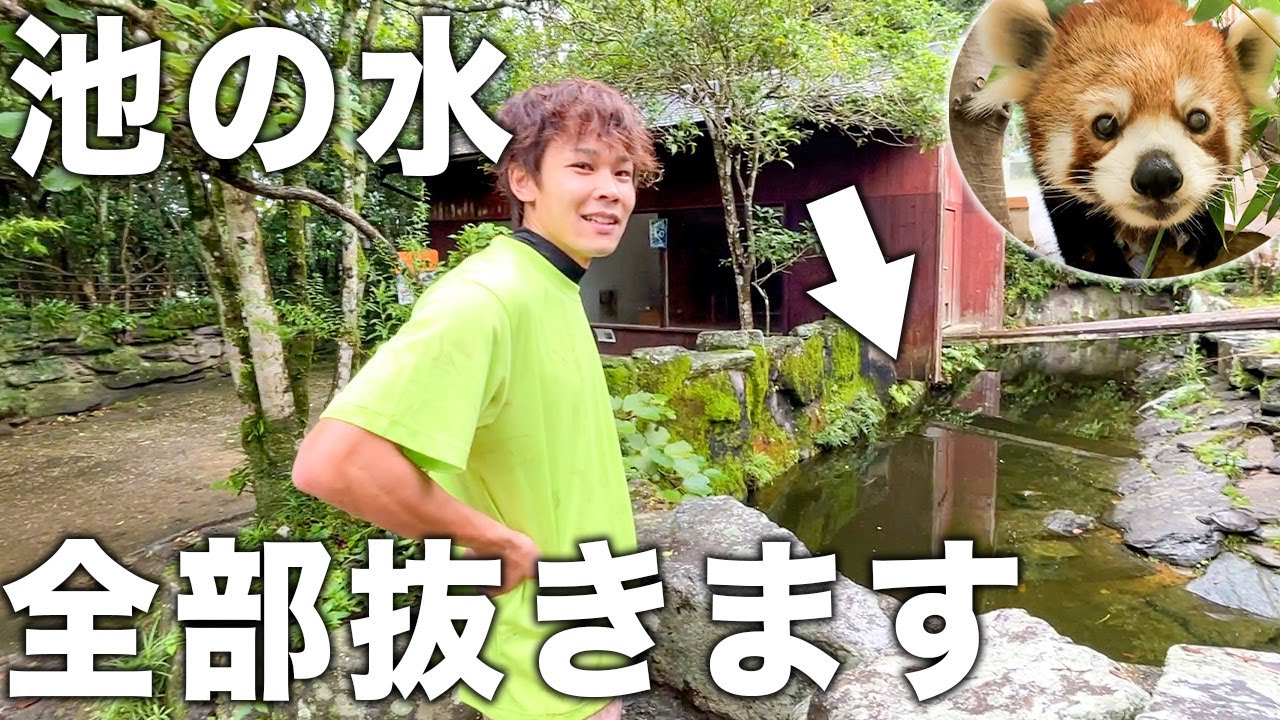 レッサーパンダの池の水抜いて大量の〇〇を回収しました！