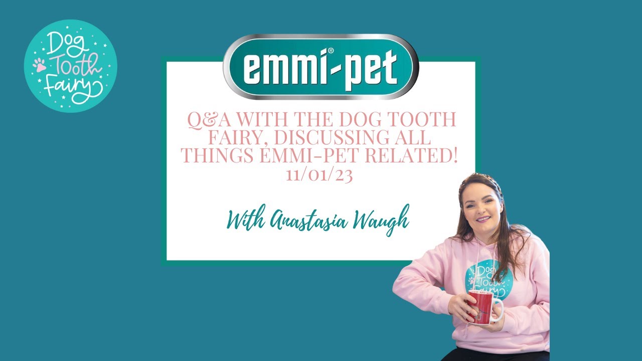 Emmi-pet Q&A session with The Dog Tooth Fairy!