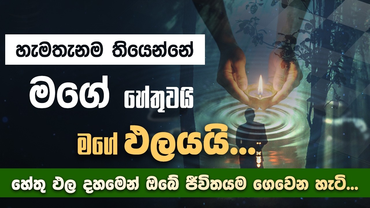 හැමතැනම තියෙන්නේ මගේ හේතුවයි මගේ ඵලයයි...(හේතු ඵල දහමෙන් ඔබේ ජීවිතයම ගෙවෙන හැටි) | Niwan Dakimu