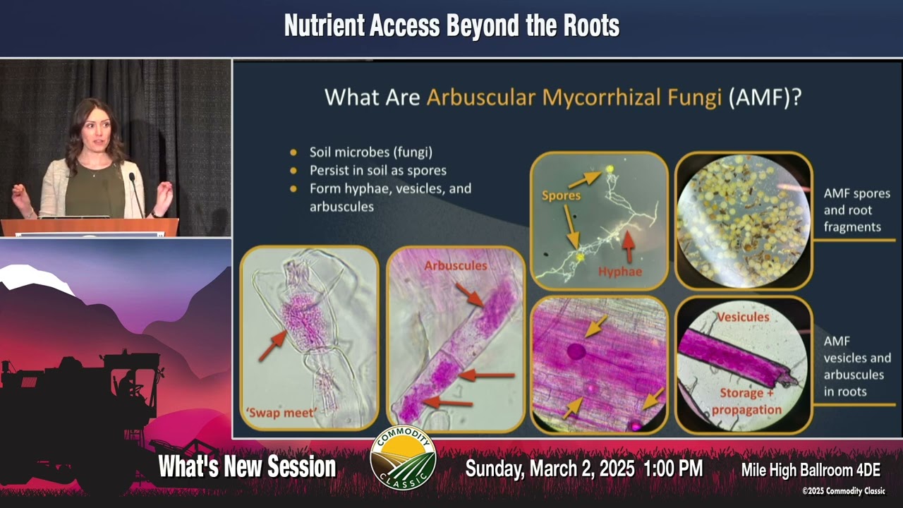 Nutrient Access Beyond the Roots