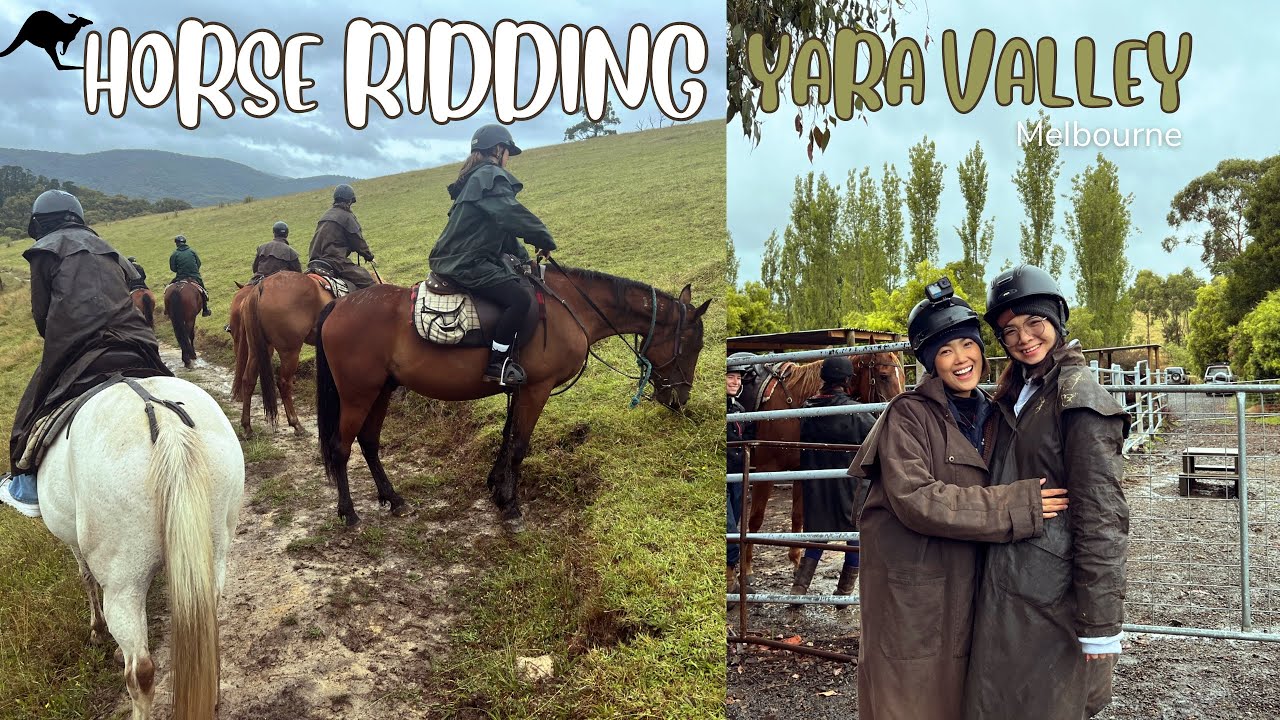 เข้าป่าไปขี่ม้าที่เมลเบิร์น | Horse riding and drink wine at Melbourne