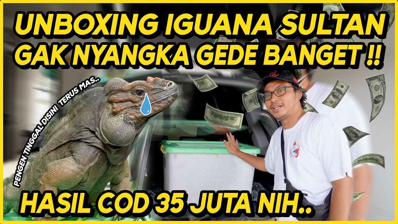 UNBOXING HASIL COD ! 35 JUTA DAPET APA ?!