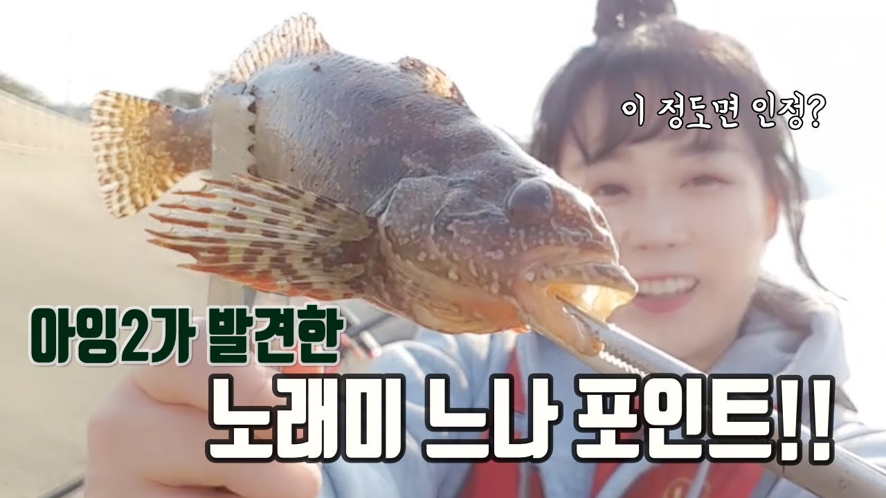 아잉2가 발견한 노래미 느나 포인트!! 이 정도면 실력 인정?[여자 낚시꾼 아잉2]