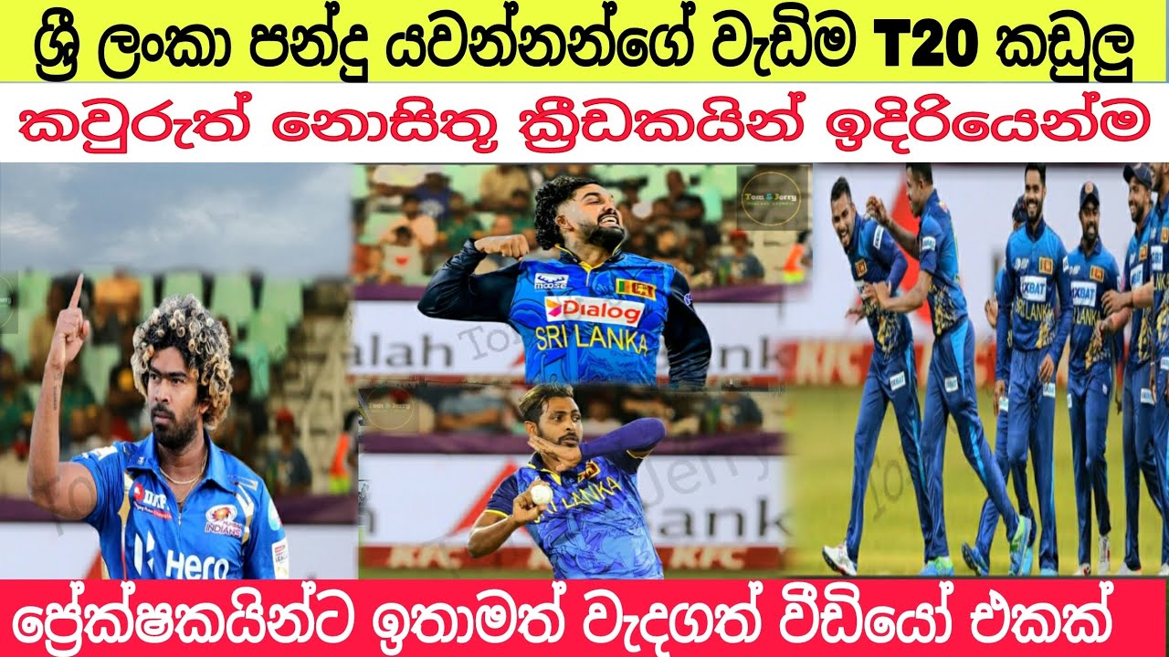 T20 ක්‍රිකට් පිටියේ වැඩිම කඩුලු ලාබී ශ්‍රී ලංකා ක්‍රීඩකයින්😎🔈 #srilankacricket #viral #tomandjerry 