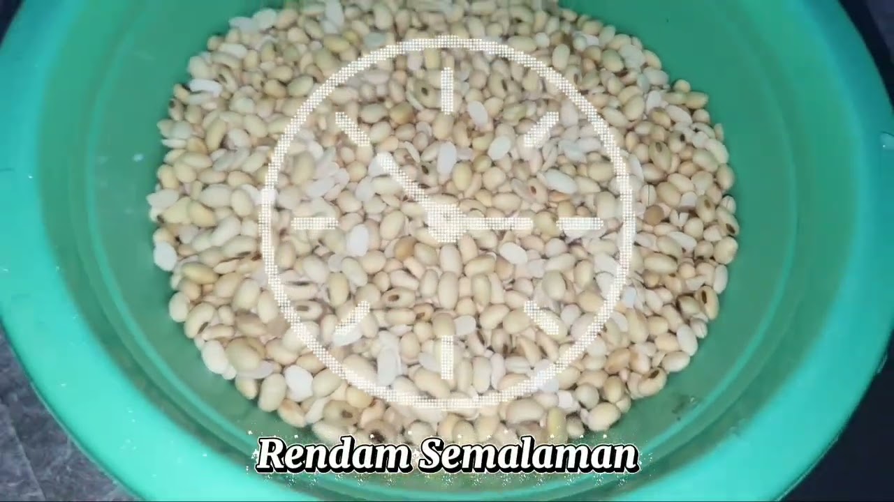 PENERAPAN BIOTEKNOLOGI KONVENSIONAL | PEMBUATAN TEMPE | KELOMPOK 6 | BIOLOGI