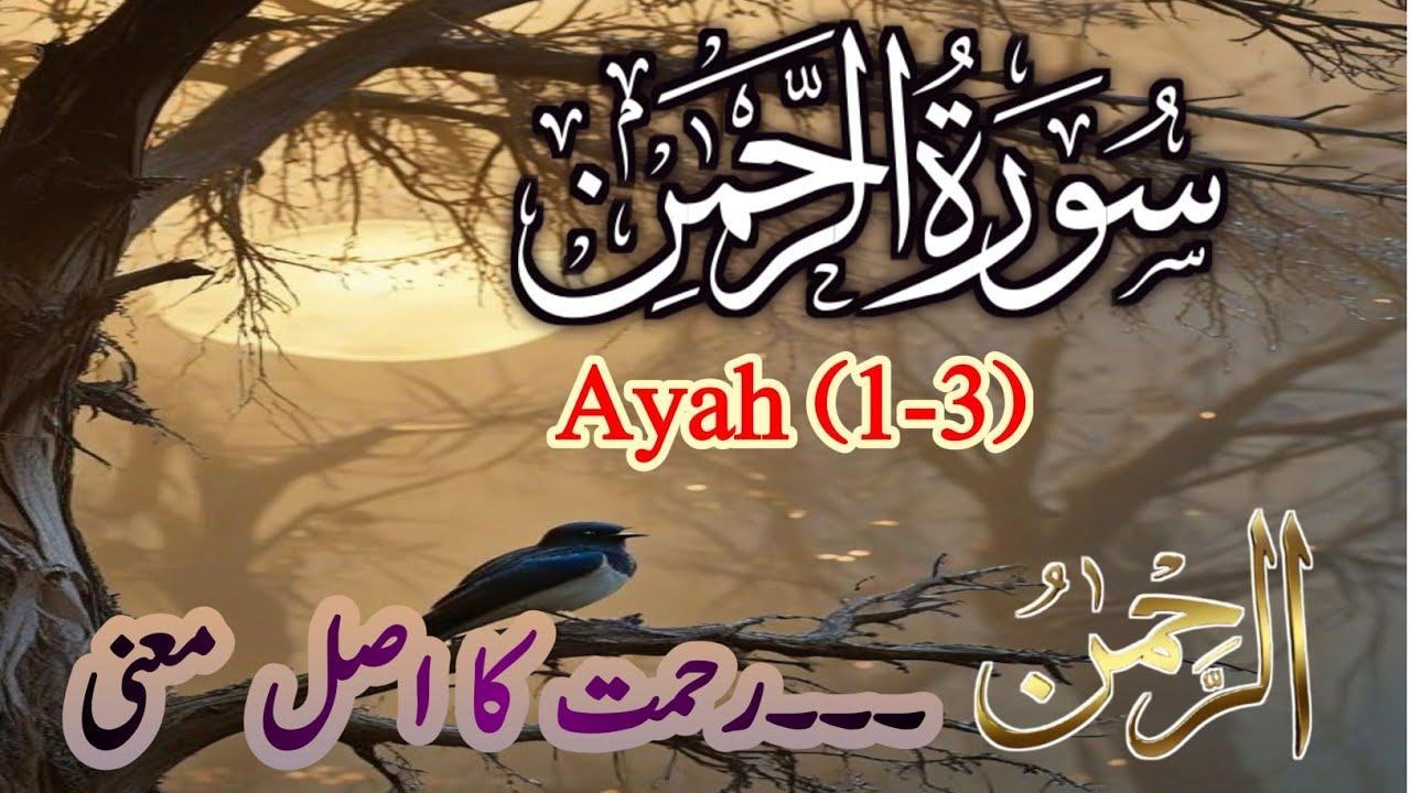 Surah Rahman Explained | The Beauty of Allah’s Mercy | One Truth