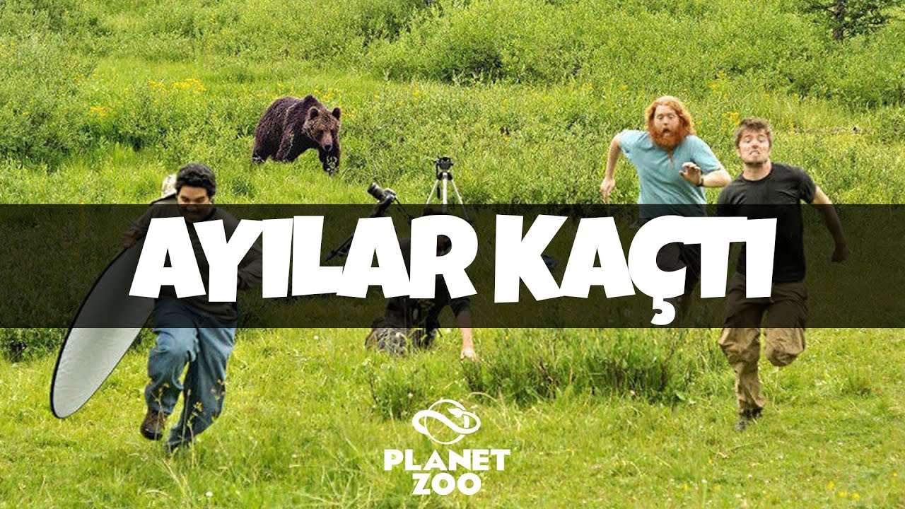 AYILAR KAÇTI! - PLANET ZOO