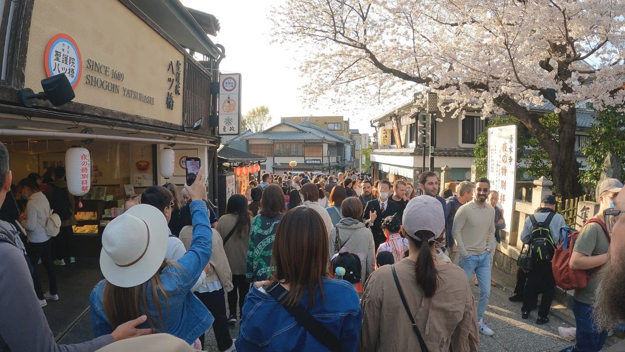 【Kyoto Walk】Japan Kiyomizu temple/Sannenzaka/Cherryblossoms of Day & night