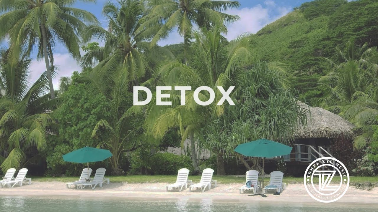 [FREE]  Summer UK Garage House Type Beat ►Detox◄ Instrumental 2019 | @TomekZylMusic