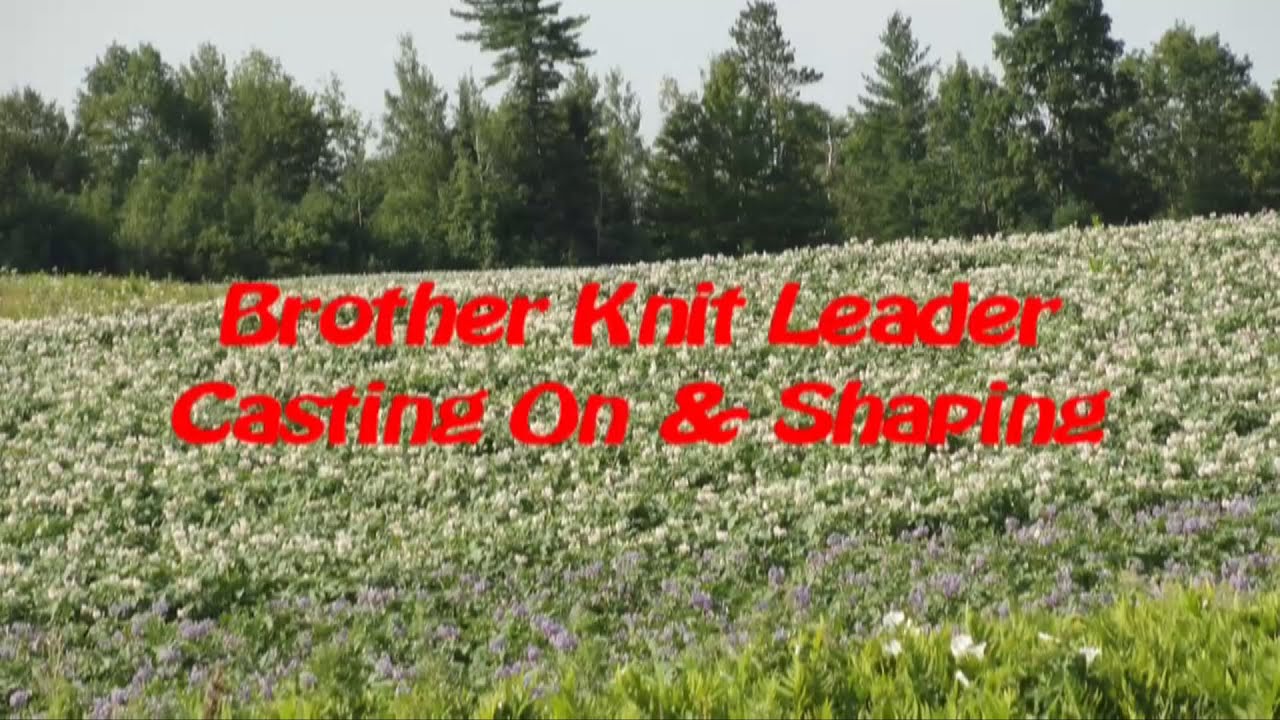 KL116 Casting on & Shaping