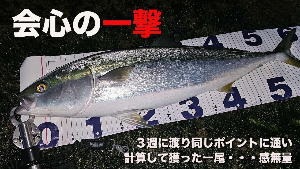 2026年初春　南房総で会心の一撃！！