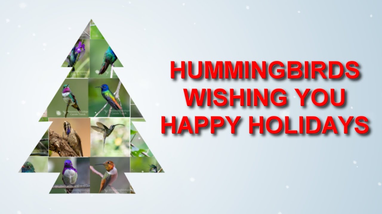 Happy Holiday Wishes for all Hummingbird Lovers