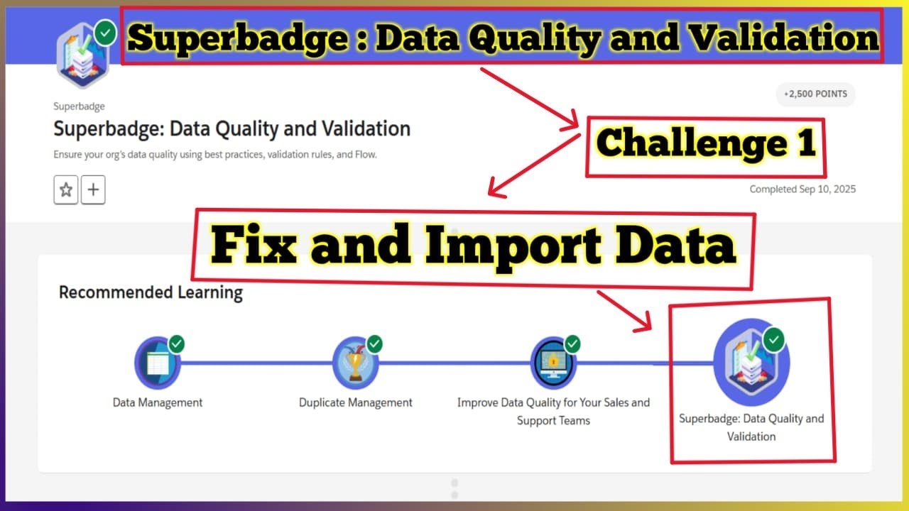 Fix and Import Data | Superbadge: Data Quality and Validation | Challenge 1