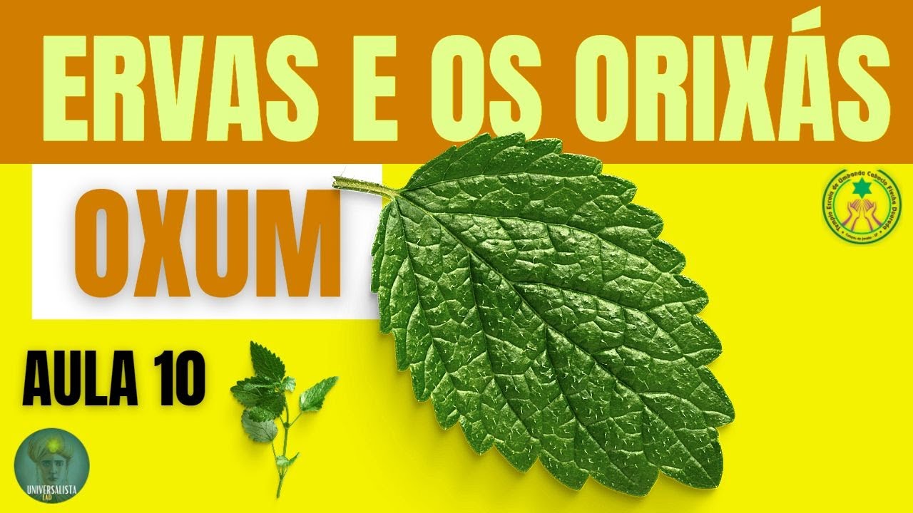 FOLHAS DE OXUM CURSO ERVAS E OS ORIXÁS
