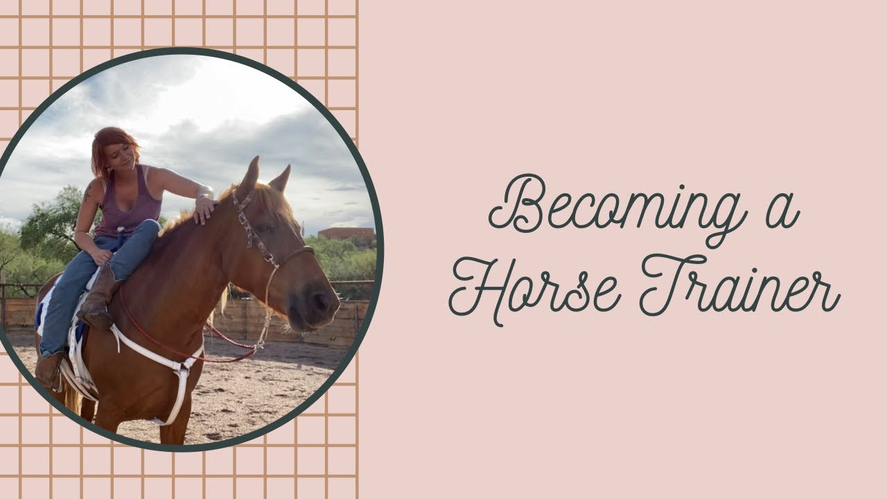 HOW TO // Become a Horse Trainer