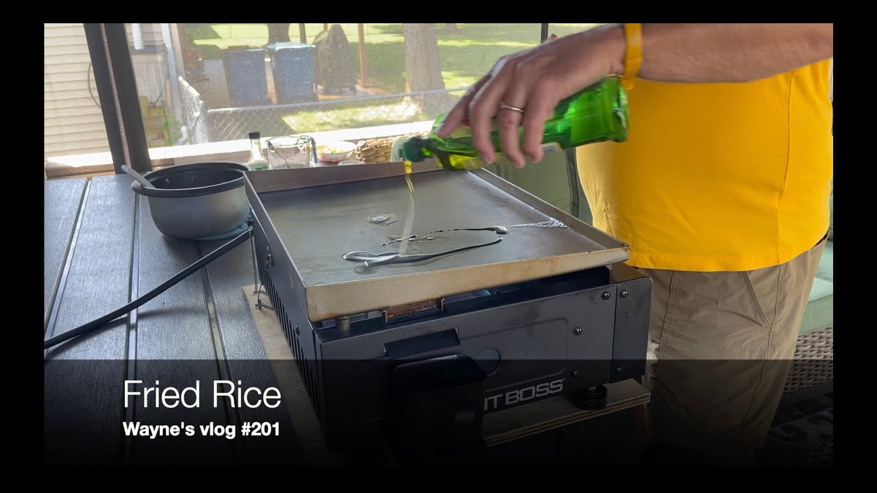Wayne's vlog #201 -  Fried Rice