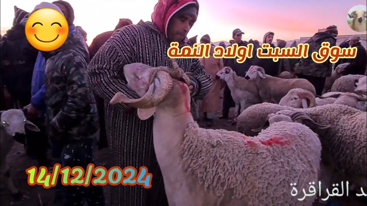 اليوم من سوق السبت اولاد النمة 14/12/2024 جهة بني ملال 🐏🐑🇲🇦