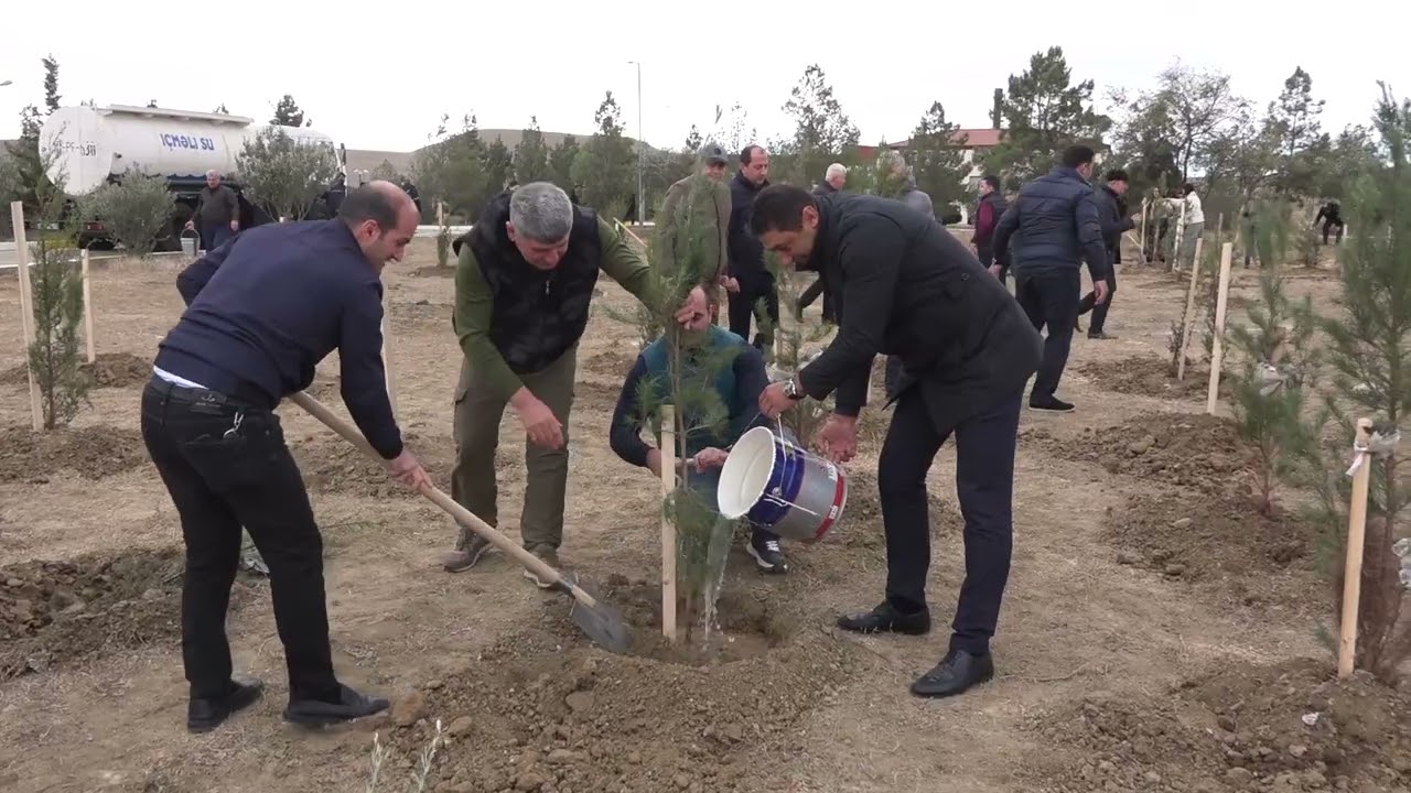 Fövqəladə Hallar Nazirliyi növbəti ağacəkmə aksiyası keçirib