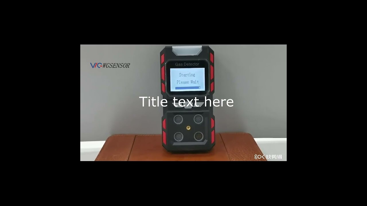 Henan WG sensor-WGP840 Portable Single Gas Detector