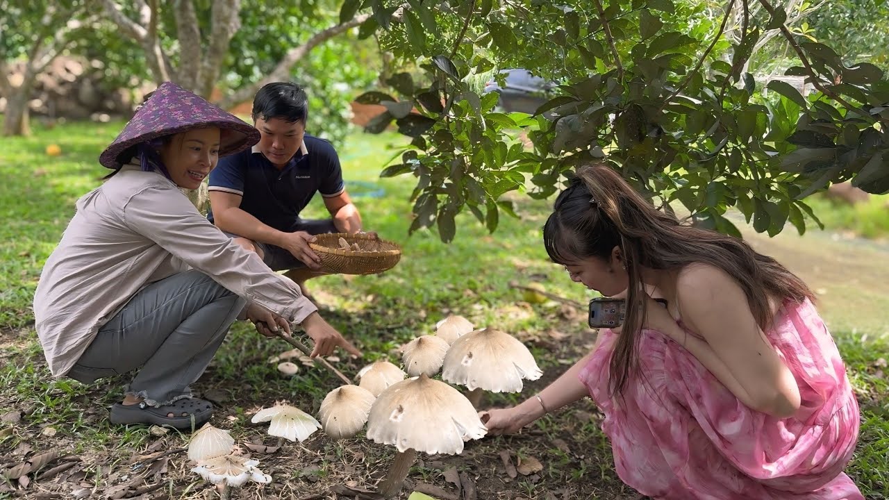 NẤM MỐI XUẤT HIỆN NGAY HOMSSTAY/KHÁCH KIẾM MÃI MÀ KHÔNG RA