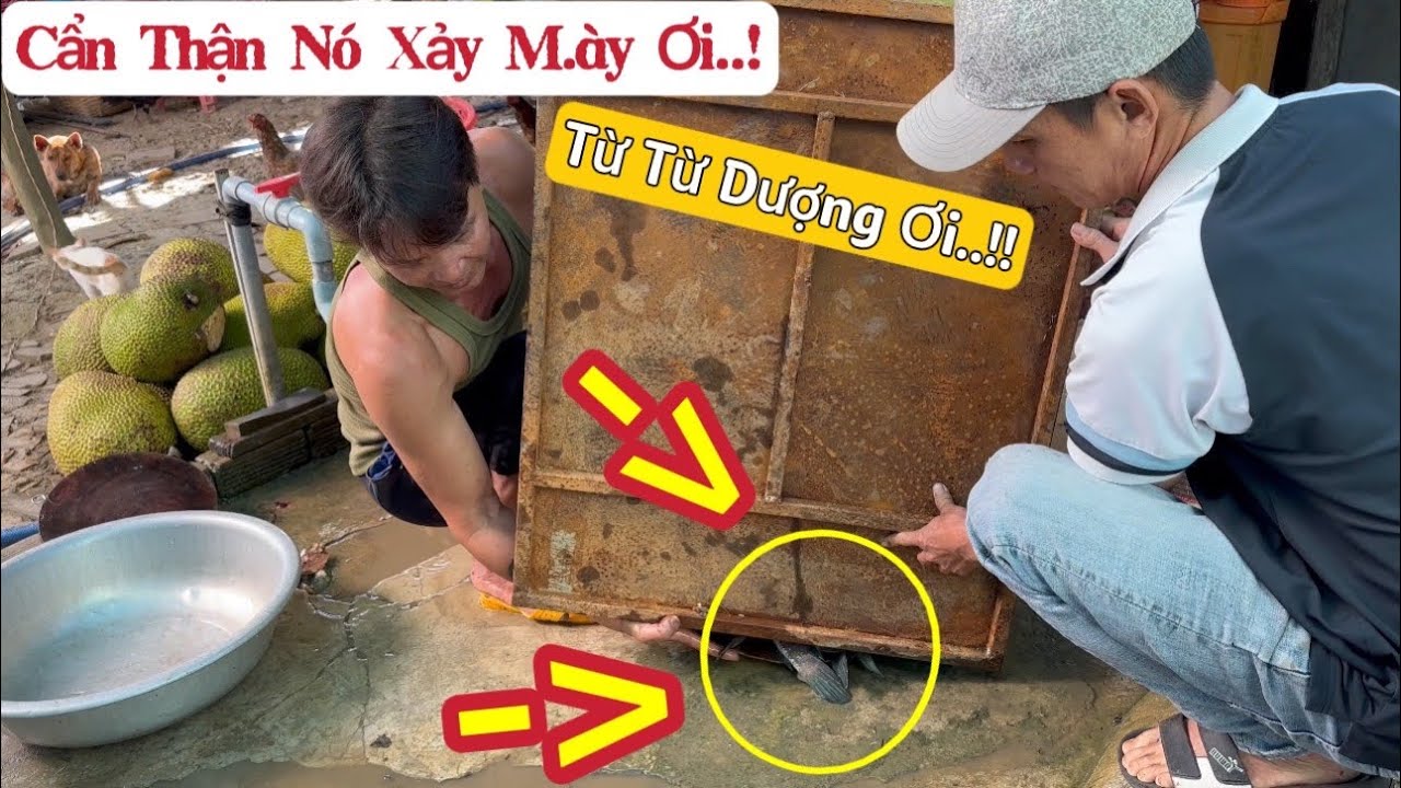 Dượng Cháu Thuận Gòm lại có món ngon ăn nữa rồi- Món này ăn thì phải nói là hết nước chấm