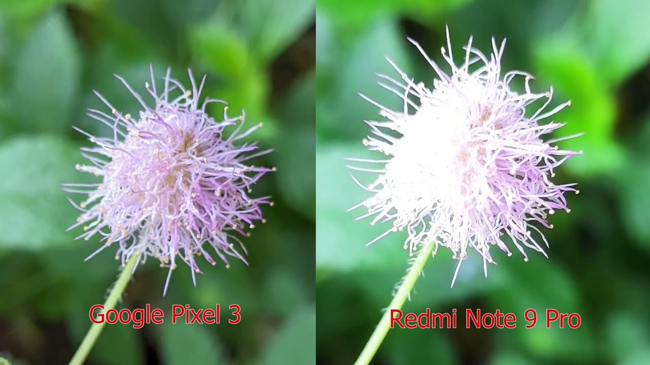 Google Pixel 3 VS  Redmi Note 9 Pro (Camera Test)