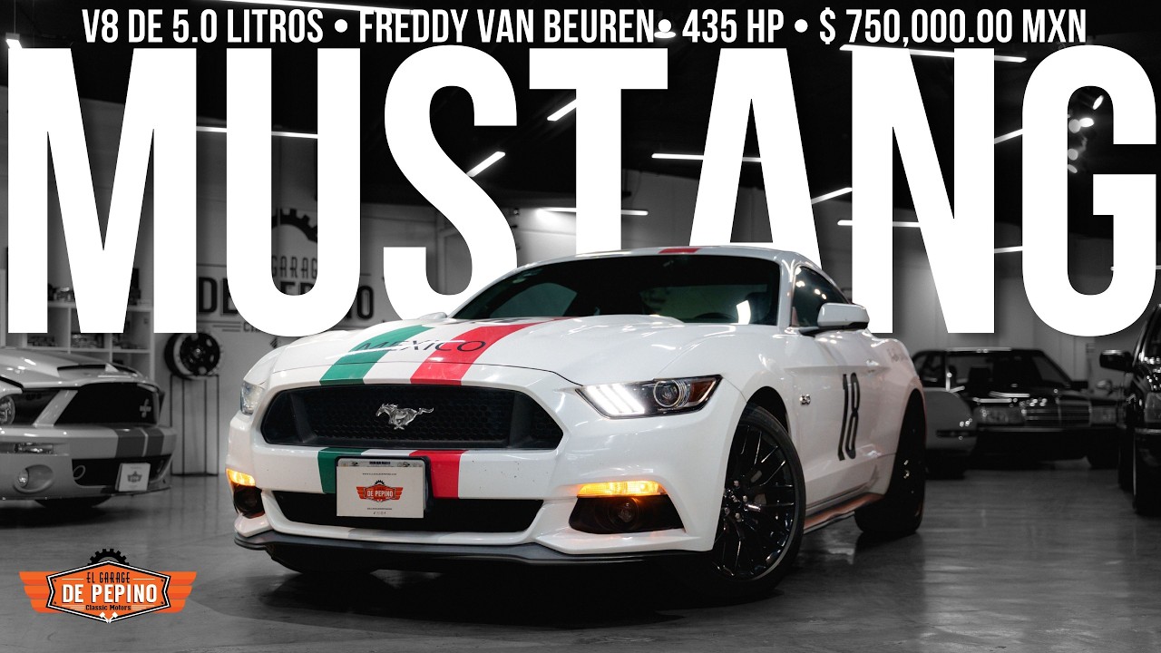 En Venta - Mustang Freddy Van Beuren